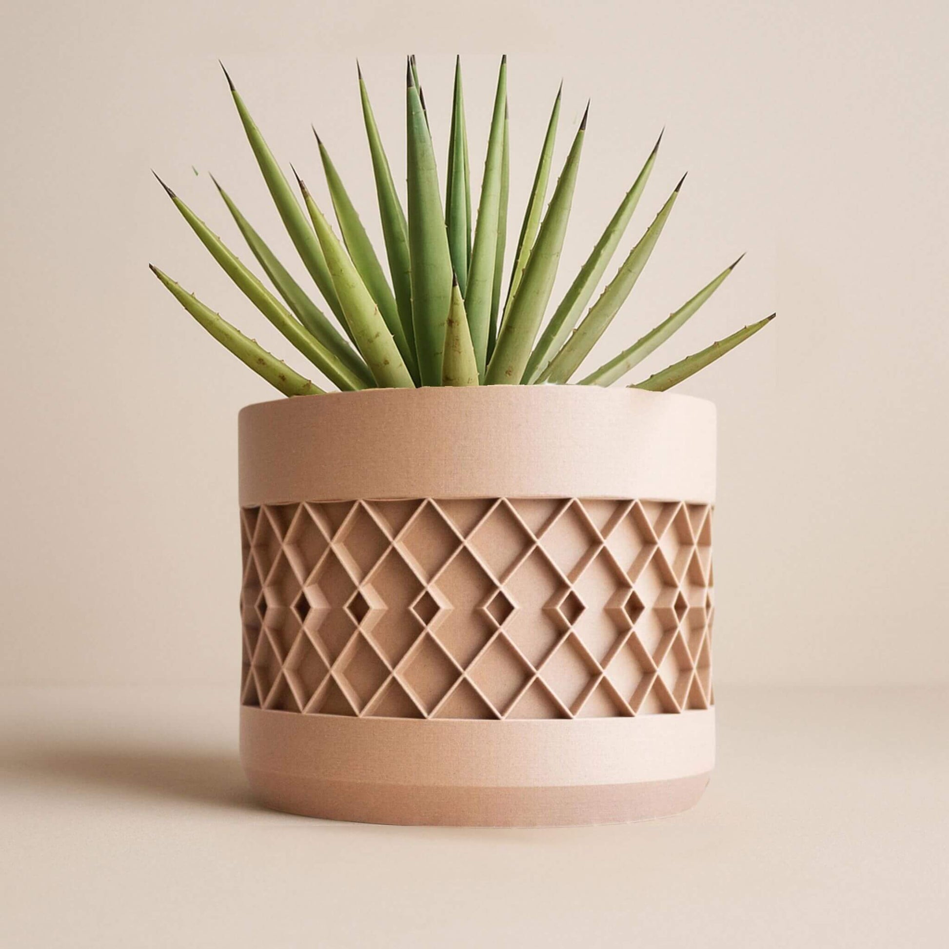 Freigestelltes großes Pflanzgefäß in Beige mit Aztekenmuster, bepflanzt mit einer Aloe, vor neutralem Hintergrund.