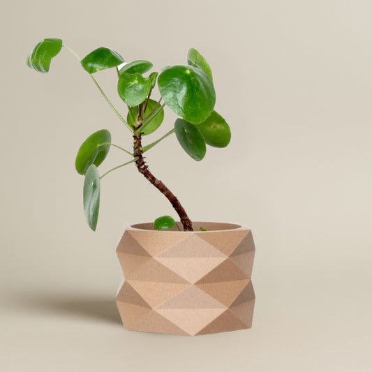 Moderner Blumentopf DIAMANT in Beige mit geometrischem Facettenmuster und grüner Pflanze, vor weißem Hintergrund.