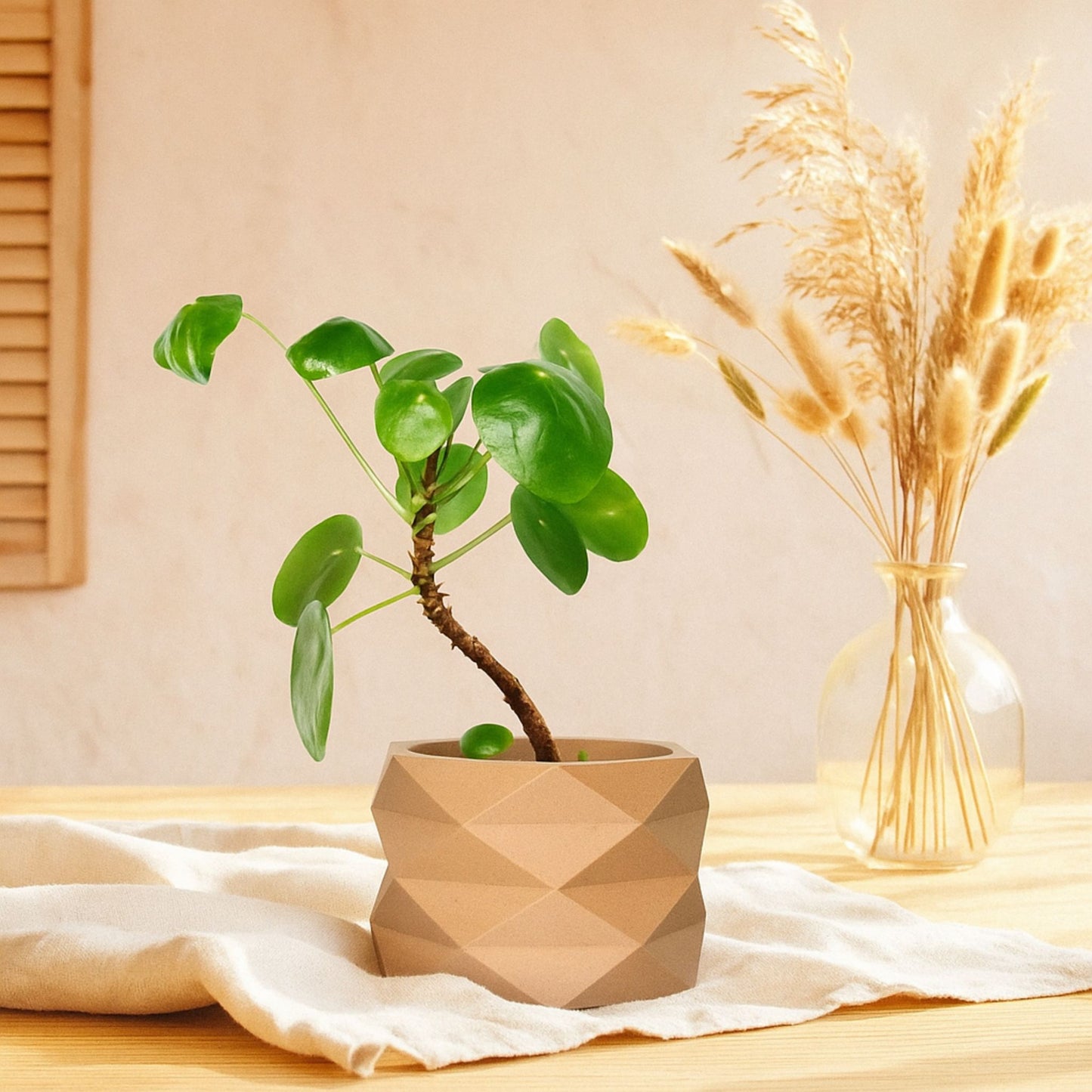 Beiger Blumentopf DIAMANT mit Facettenstruktur und Pflanze, dekorativ auf einem Holztisch mit Trockenblumen im Hintergrund.