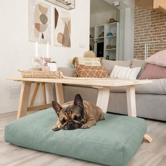 Französische Bulldogge schläft auf mintgrünem Hundekissen im modernen Wohnzimmer.