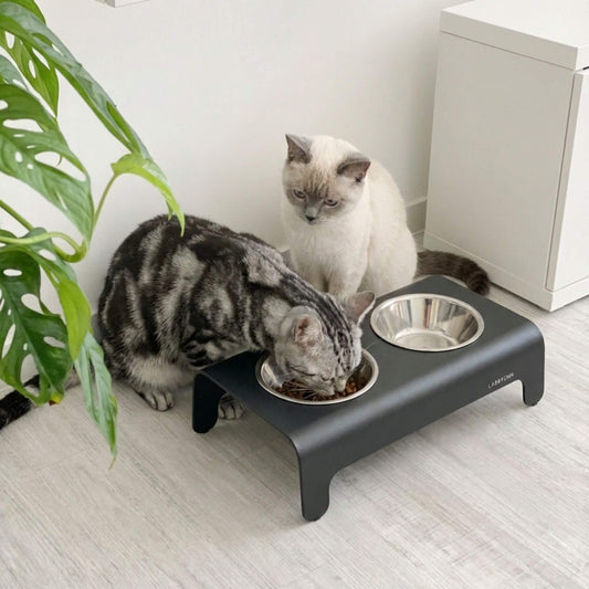 Zwei Katzen fressen aus einer schwarzen, erhöhten Futterstation mit Edelstahlnäpfen.