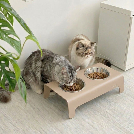 Katzen fressen aus einem erhöhten Futternapf in Mokka Tierfutter