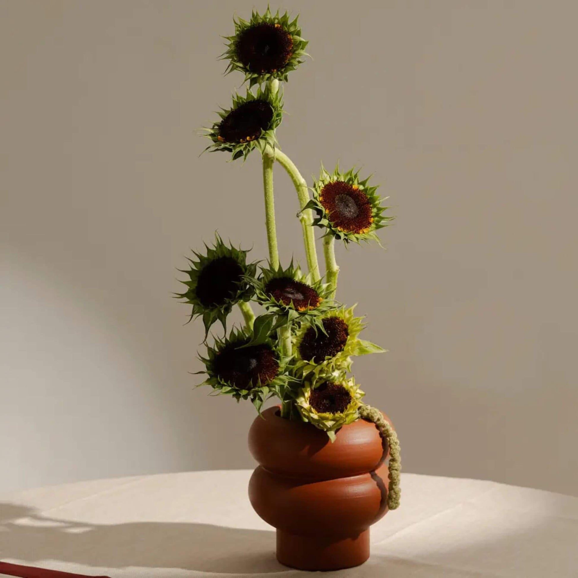 Kleine Terrakotta-Vase mit Sonnenblumen auf rundem Tisch arrangiert.