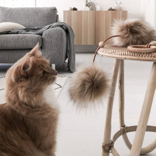 Katze spielt mit hochwertigem Katzenspielzeug Tollo aus Kunstfell, Holz und Leder