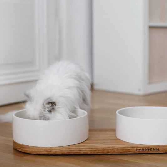 Futternapf Vuku auf Keramik für Katzen und Hunde, Katze frisst aus Keramiknapf mit Holzhalterung, modernes Wohnambiente