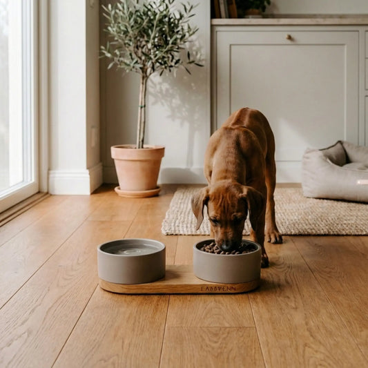 Hund frisst aus Futternapf Vuku in Braun auf Holz in Wohnraum
