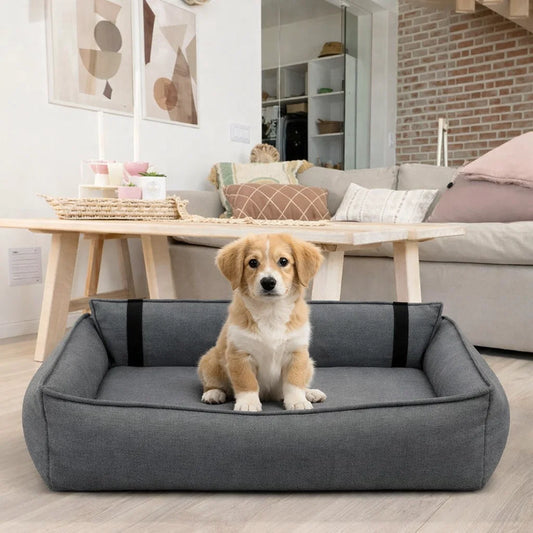 Hund liegt entspannt in grauem Designer-Hundebett