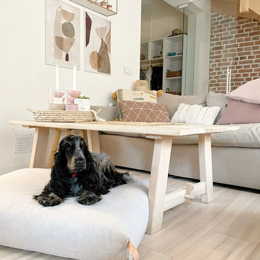 Hund liegt entspannt auf einem beigen Hundekissen in einem hellen, modern eingerichteten Wohnzimmer mit Holztisch und Sofa.