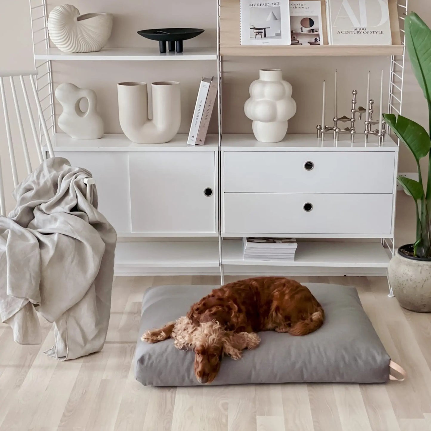 Hund liegt entspannt auf einem hellbeigen Hundekissen in einem stilvollen, hellen Wohnzimmer mit Regal und Wohnaccessoires