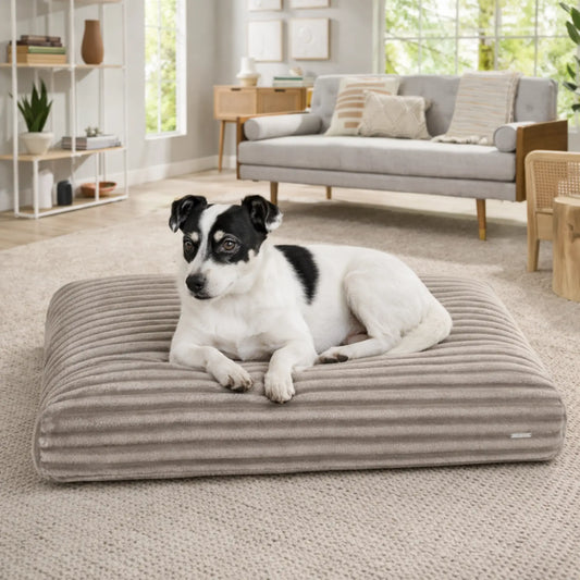 Kleiner schwarz-weißer Hund liegt entspannt auf einem beigen, gerippten Hundekissen