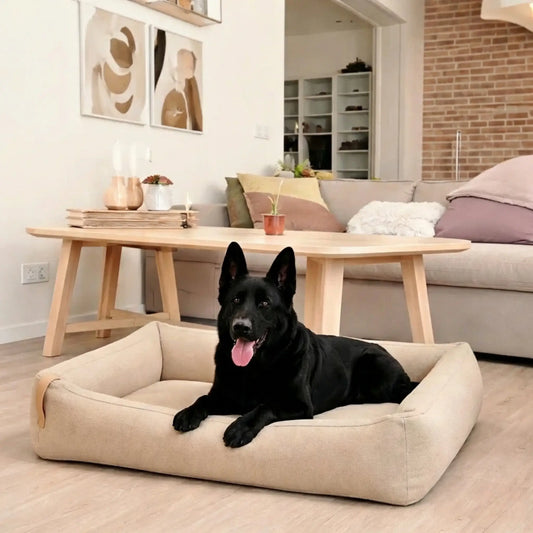 Schwarzer Hund liegt entspannt in einem beigen Hundebett in einem hellen Wohnzimmer