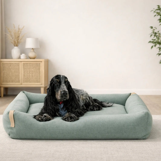 Schwarzer Hund liegt entspannt in salbeigrünem Hundebett in modernem, hellen Wohnraum