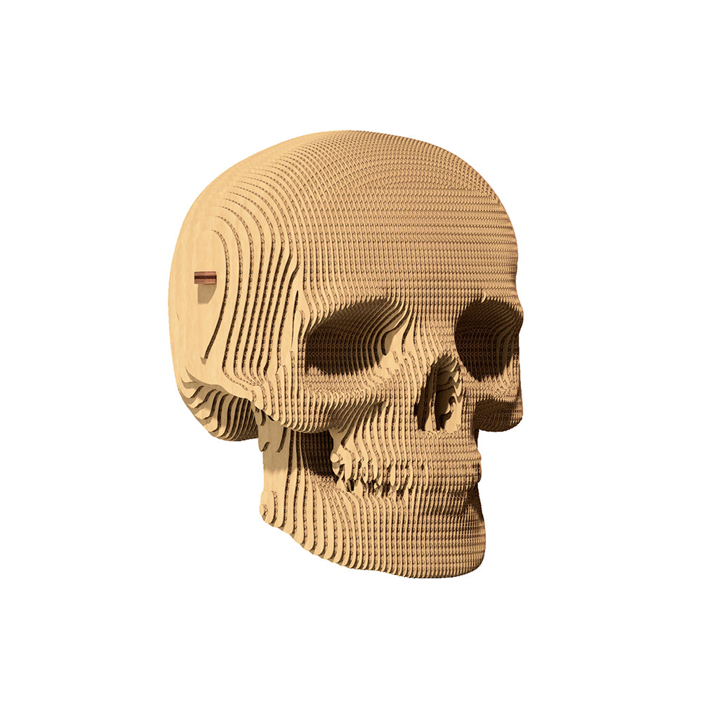 Cartonic 3D Figur - Totenkopf - BEPANO