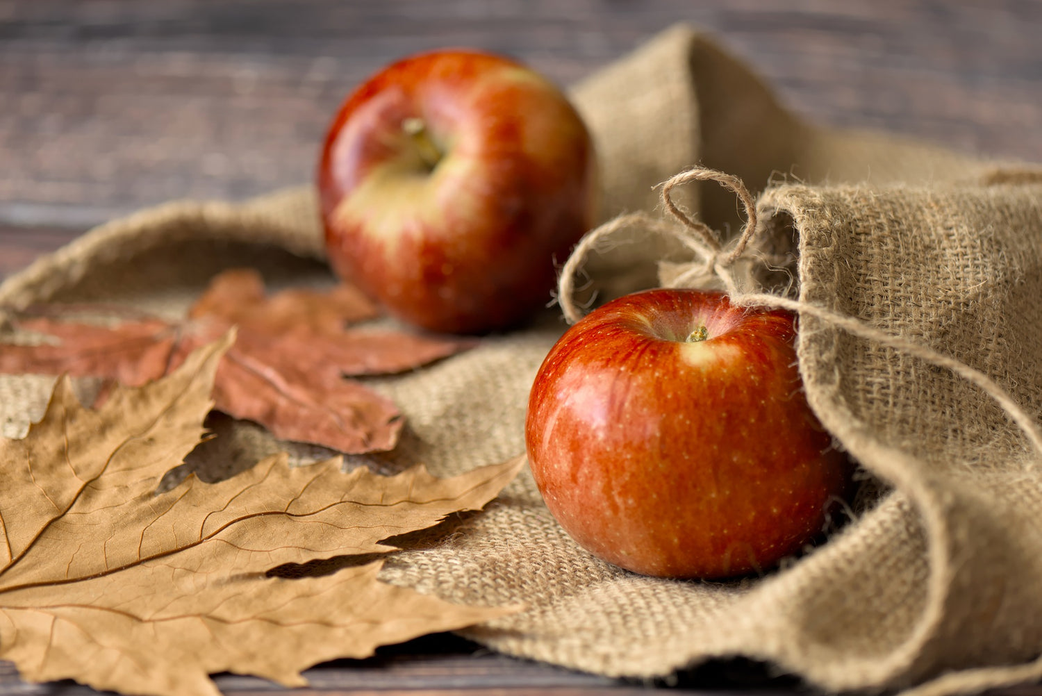 Herbstzauber im Eigenheim - Warum die Dekoration zur Herbstzeit im Trend liegt