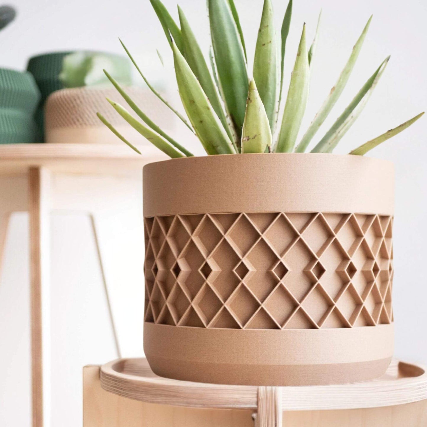 Großes beiges Pflanzgefäß mit geometrischem Muster und Aloe, auf einem hellen Holzständer neben weiteren Pflanzgefäßen.