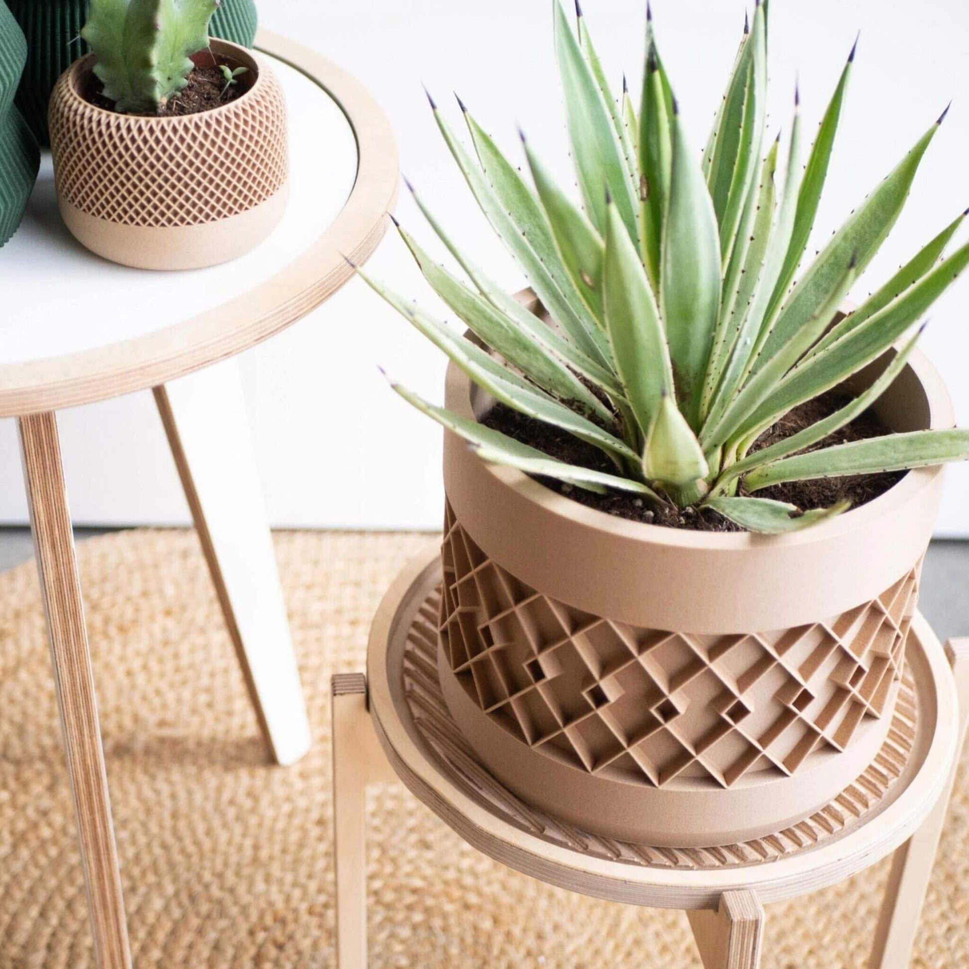 Nahaufnahme eines großen beigen Pflanzgefäßes mit Aztekenmuster und Aloe-Pflanze, seitlich fotografiert.
