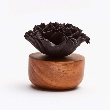 Parfümdiffusor – Nelkenblume Schwarz
