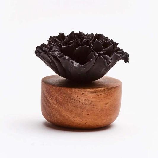 Parfümdiffusor – Nelkenblume Schwarz
