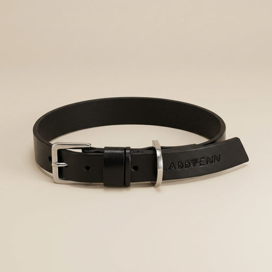 Schwarzes Hundehalsband aus Leder mit Metall-Schnalle, minimalistisch auf hellem Hintergrund.