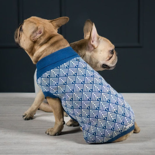 Französische Bulldogge trägt Hundepullover blau gemustert, warmer Strickpullover für Hunde
