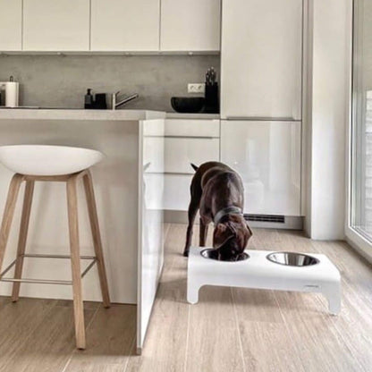 Hund frisst aus einem weißen, erhöhten Futternapf mit zwei Edelstahlschalen in einer minimalistischen Küche.