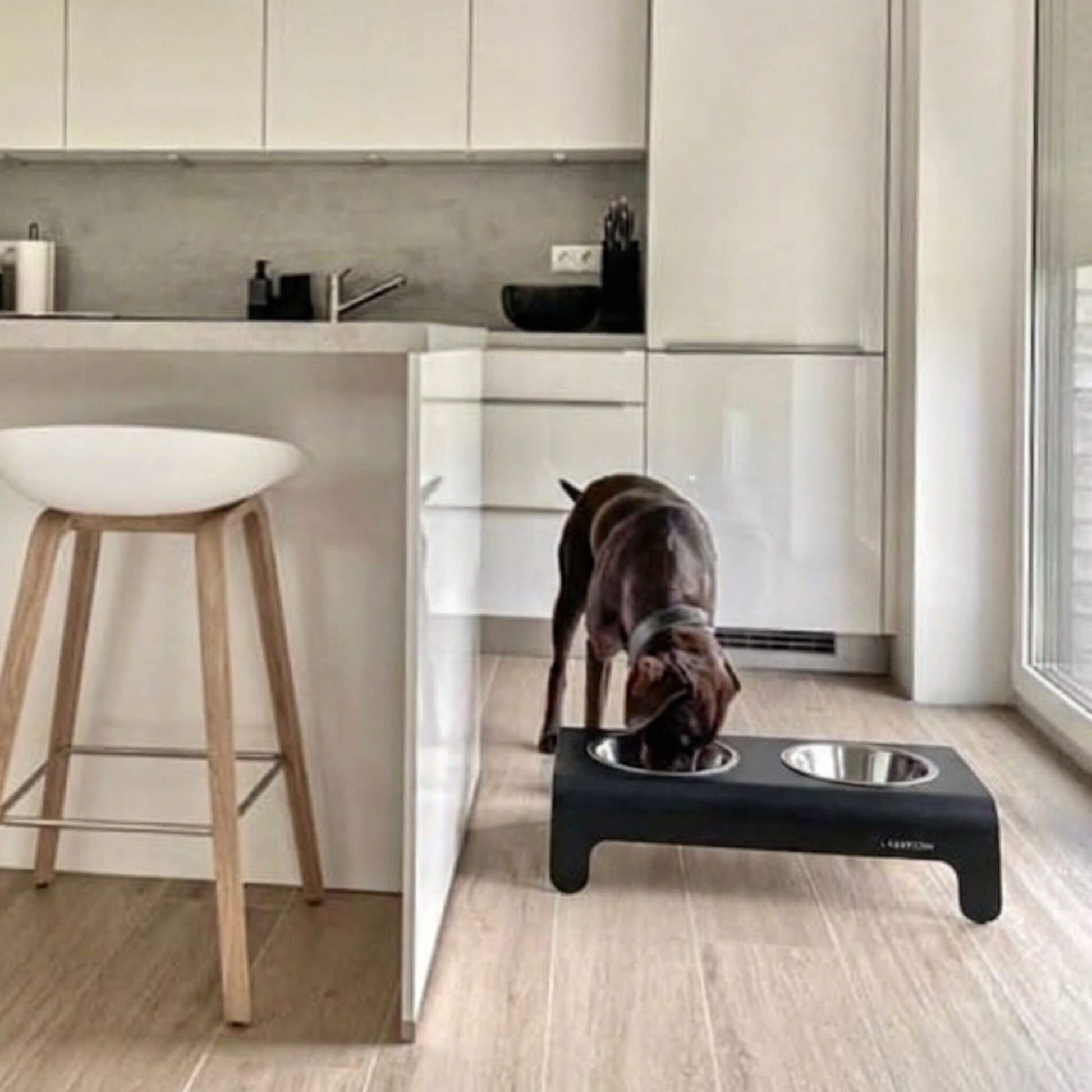 Hund frisst aus einer schwarzen, erhöhten Futterstation mit zwei Edelstahlnäpfen in einer Küche.