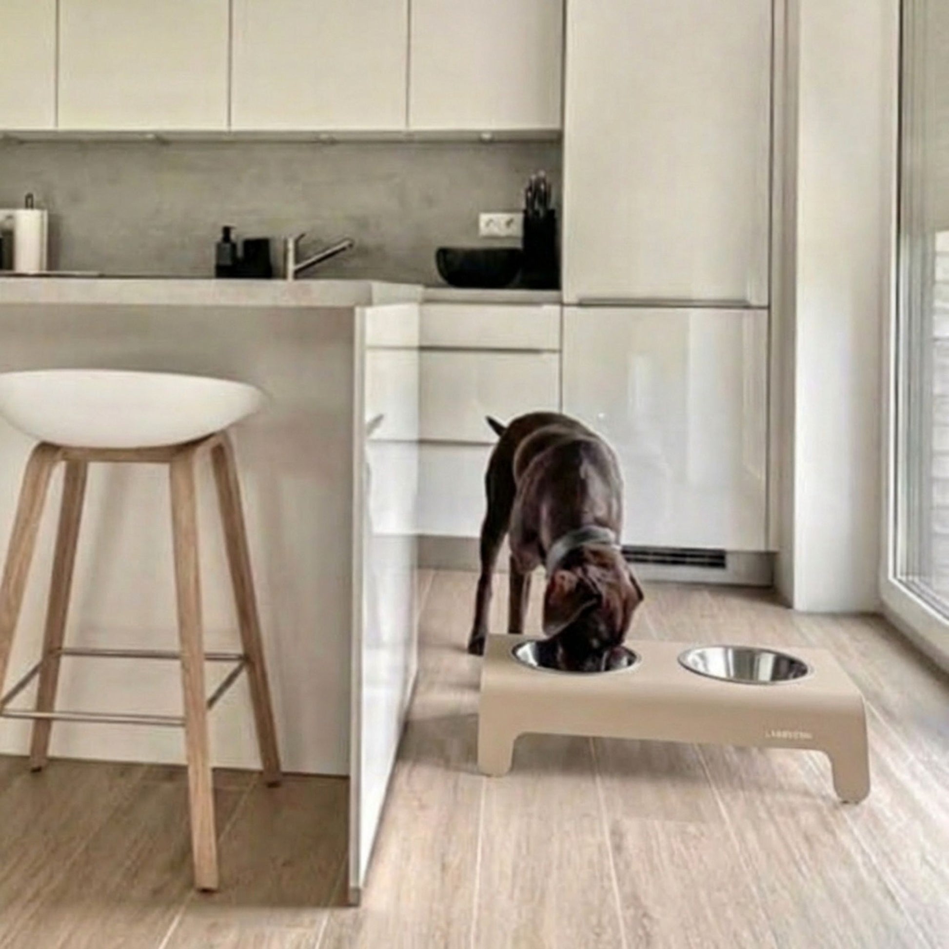 Erhöhter Hundenapf für ergonomisches Fressen, moderner Doppel-Futternapf in  Beige in der Küche