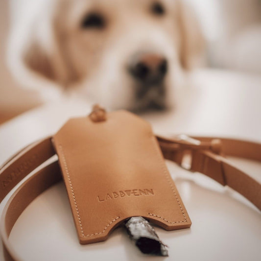 Leder Kotbeutelspender für Hunde, hochwertiger Hundekotbeutelhalter in Camel mit Hund beim Spaziergang