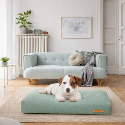 Kleiner Hund liegt entspannt auf einem mintgrünen Hundekissen