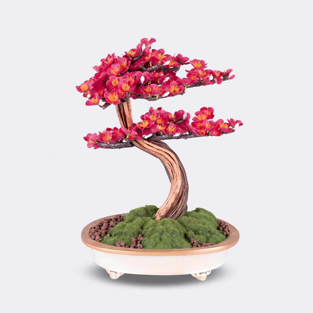 Bonsai Baum "Astrea Sakura" - BEPANO