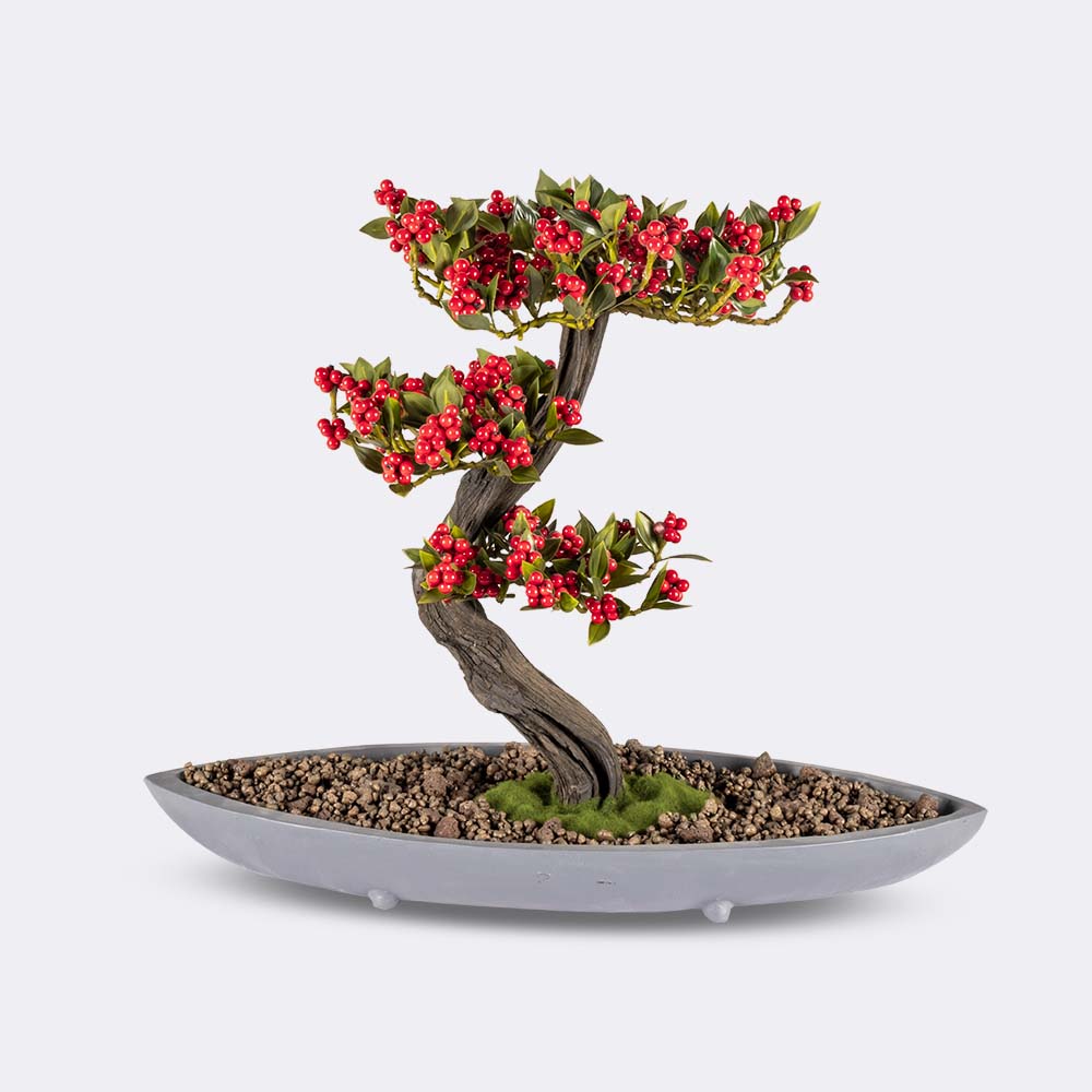 Bonsai Baum "Nacis Coffea" - BEPANO